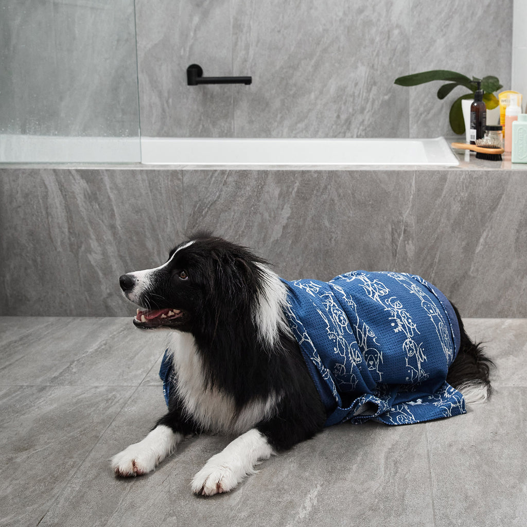 dock and bay towels dog