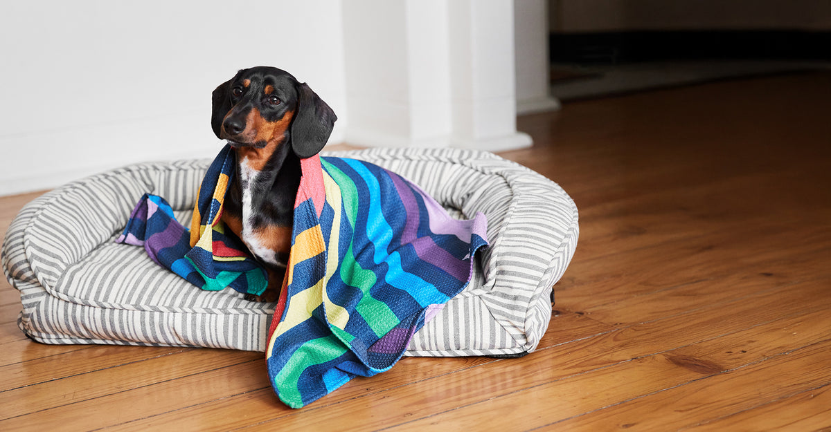 Dog & Bay - Towels for Pets - Pups with Pride