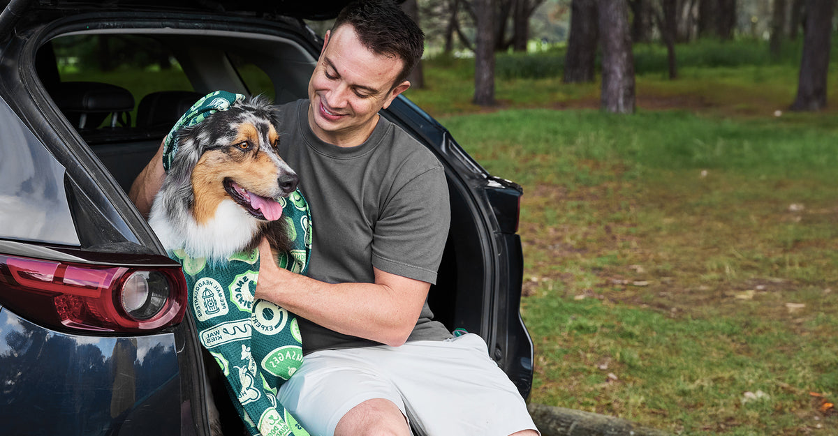 Dock & Bay Dog Towel - Dog & Bay Club