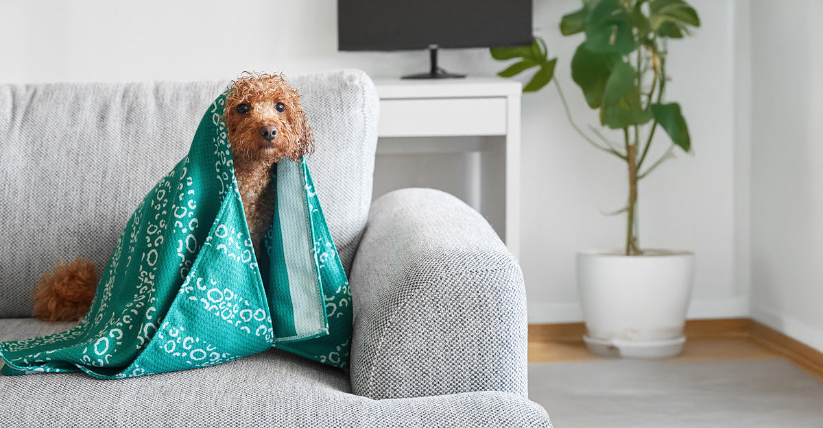 Dock & Bay Dog Towel - Woofs Go Wild